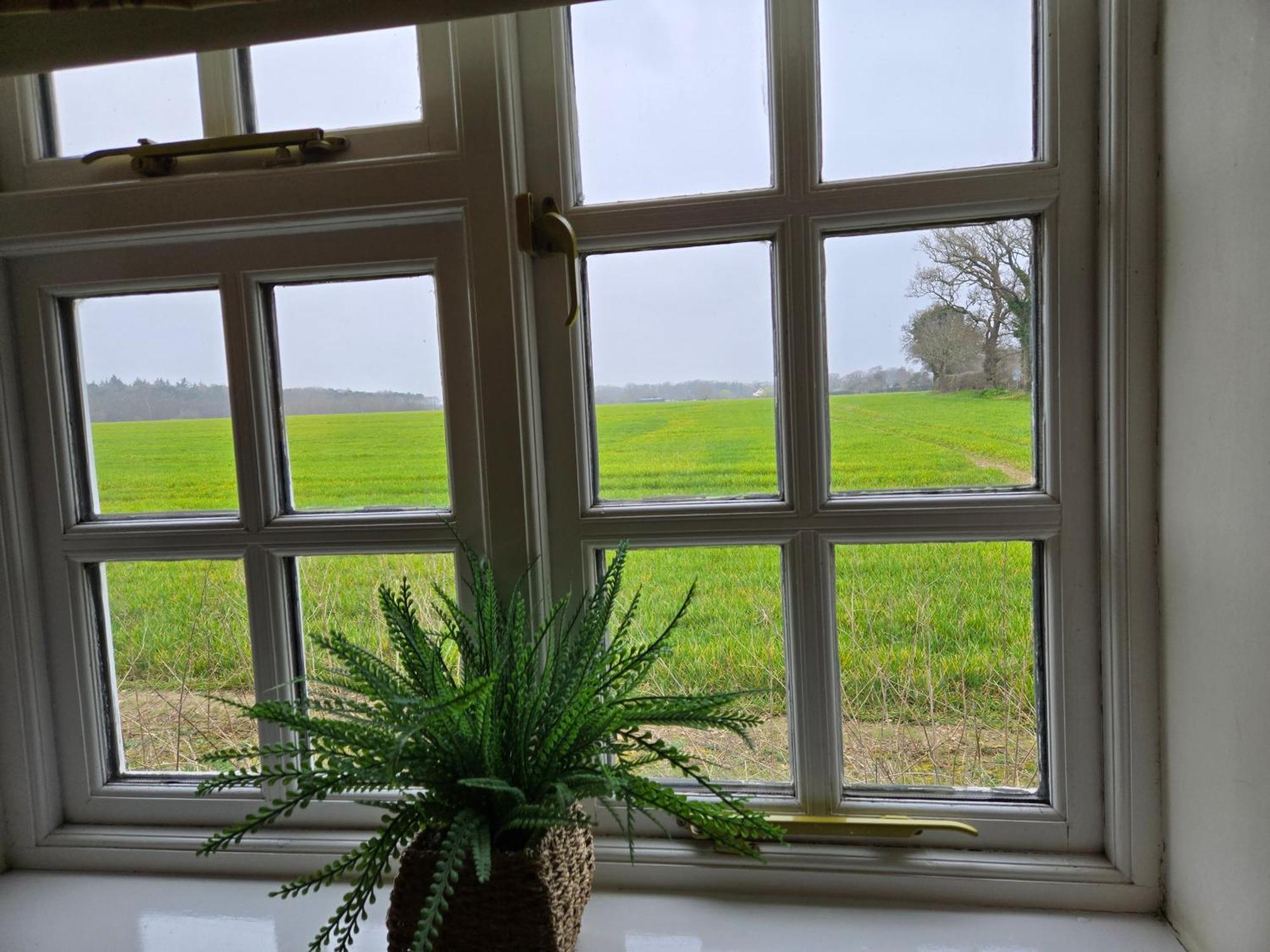 Wayside B&B Salhouse Bagian luar foto